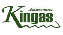 Kingas